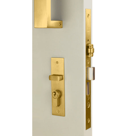 NIDUS Rectangle OZI-3 Roller Mortice Lock Combo | 4 Finishes - Satin Brass