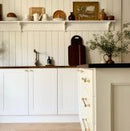 Zanda Mayfair Cabinet Handle Satin Brass & Chrome Polish - primehardware