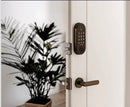 Smart door lock on a white door with a plant in the background