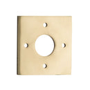 Iver Adaptor Plate Pair Square Rose 60Mm - primehardware