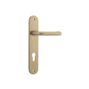IVER Oslo Door Lever Handle On Oval Backplate | Entrance Lever Set Only | 9 Finishes - Brushed Brass