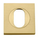 Iver Oval Escutcheon Square Concealed Fix Pair - primehardware