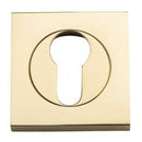 Iver Euro Escutcheon Square Concealed Fix Pair - primehardware