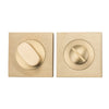 Iver Privacy Turn Square Concealed Fix - primehardware