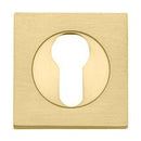 Iver Euro Escutcheon Square Concealed Fix Pair - primehardware