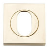 Iver Oval Escutcheon Square Concealed Fix Pair - primehardware