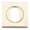Iver Oval Escutcheon Square Concealed Fix Pair - primehardware