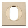 Iver Oval Escutcheon Square Concealed Fix Pair - primehardware