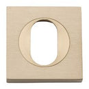 Iver Oval Escutcheon Square Concealed Fix Pair - primehardware