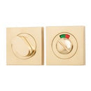 Iver Oval Privacy Turn Square With Indicator - primehardware