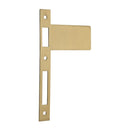 Iver Extended Striker - primehardware