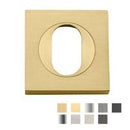 Iver Oval Escutcheon Square Concealed Fix Pair - primehardware