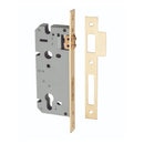 IVER Euro Roller Mortice Lock | 45mm Backset - Brushed Brass