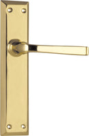 TRADCO MENTON LEVER DOOR HANDLE ON LONG BACKPLATE - CUSTOMISE TO YOUR NEEDS
