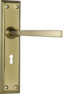 TRADCO MENTON LEVER DOOR HANDLE ON LONG BACKPLATE - CUSTOMISE TO YOUR NEEDS