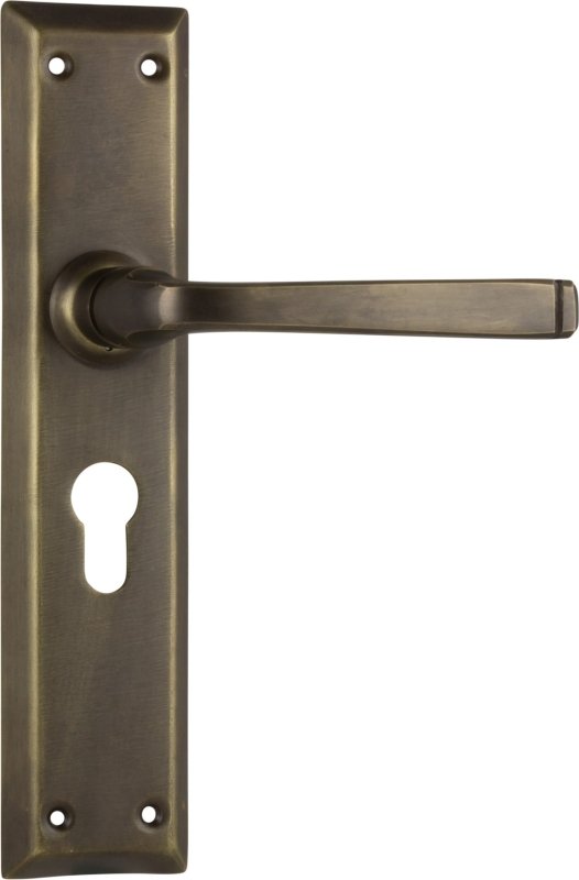 TRADCO MENTON LEVER DOOR HANDLE ON LONG BACKPLATE - CUSTOMISE TO YOUR NEEDS