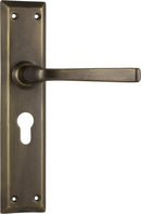 TRADCO MENTON LEVER DOOR HANDLE ON LONG BACKPLATE - CUSTOMISE TO YOUR NEEDS