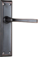 TRADCO MENTON LEVER DOOR HANDLE ON LONG BACKPLATE - CUSTOMISE TO YOUR NEEDS