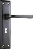 TRADCO MENTON LEVER DOOR HANDLE ON LONG BACKPLATE - CUSTOMISE TO YOUR NEEDS