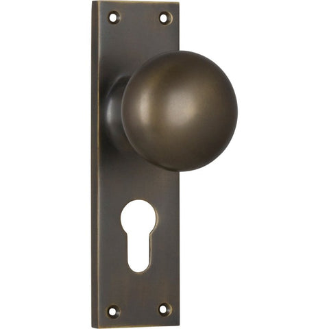TRADCO VICTORIAN KNOB ON LONG BACKPLATE