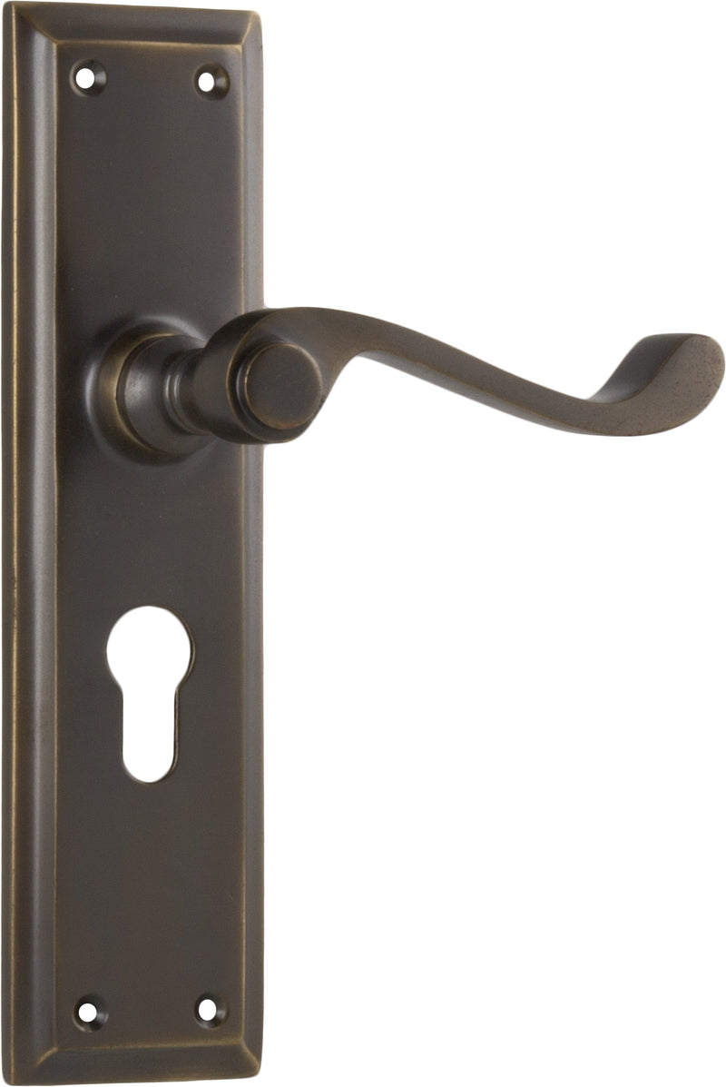 TRADCO MILTON LEVER DOOR HANDLE