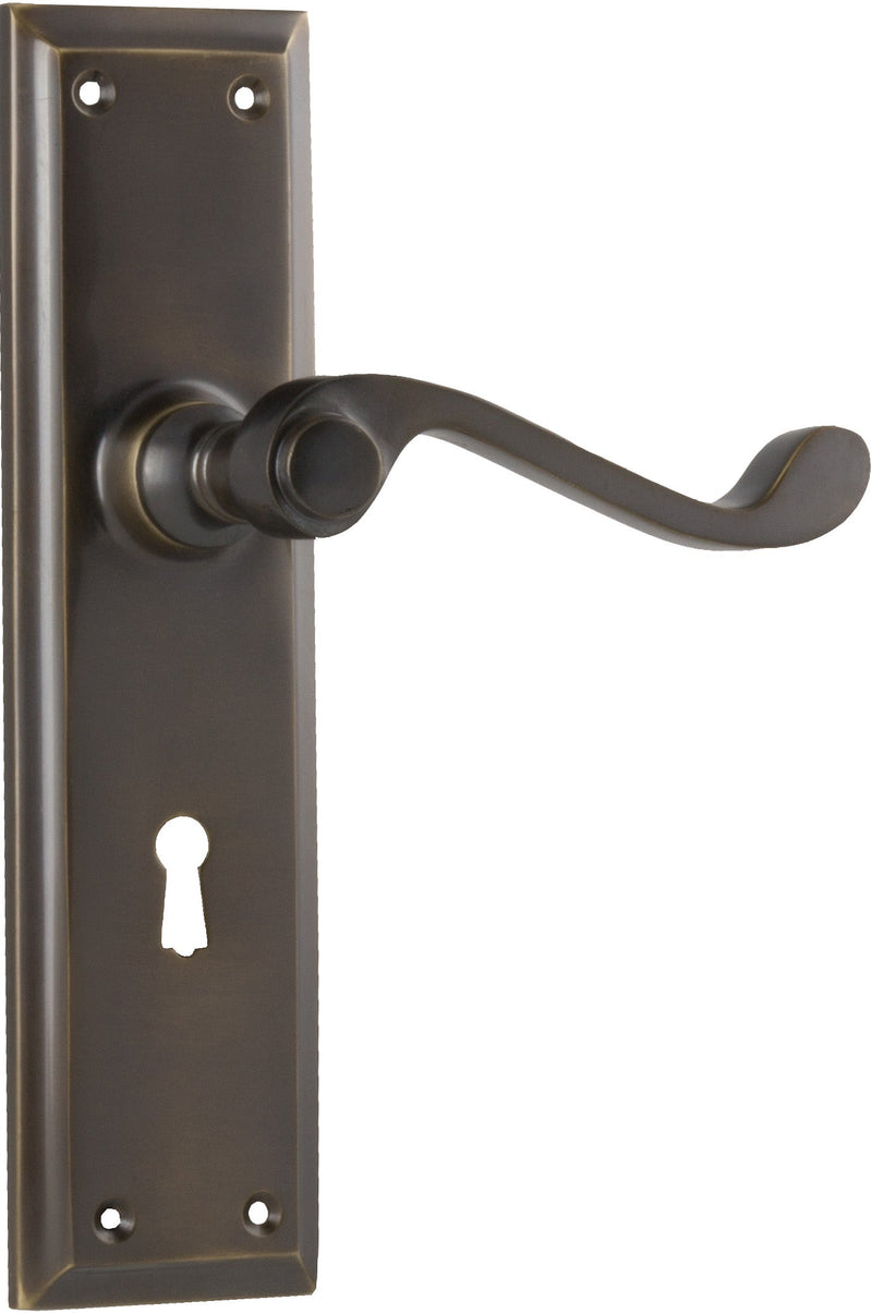 TRADCO MILTON LEVER DOOR HANDLE