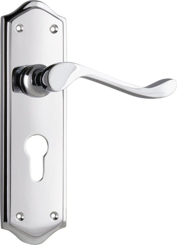 TRADCO HENLEY LEVER DOOR HANDLE ON SHOULDERED BACKPLATE