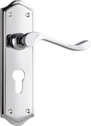 TRADCO HENLEY LEVER DOOR HANDLE ON SHOULDERED BACKPLATE