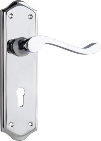 TRADCO HENLEY LEVER DOOR HANDLE ON SHOULDERED BACKPLATE