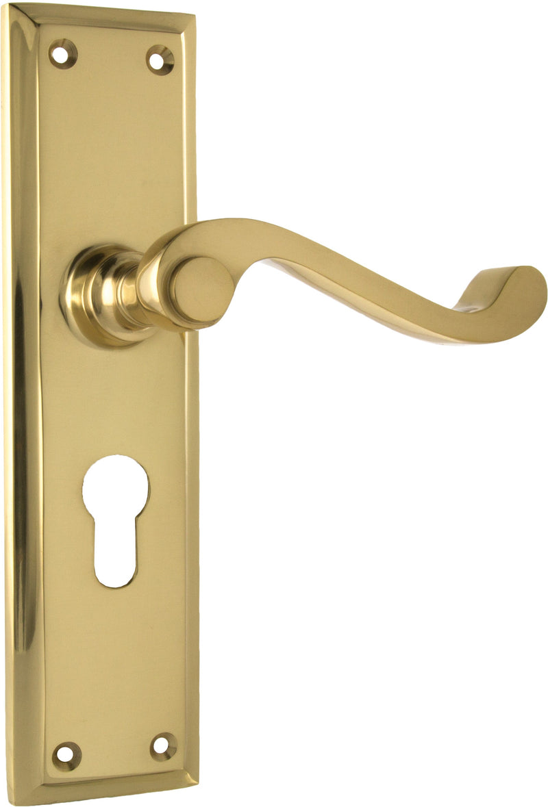 TRADCO MILTON LEVER DOOR HANDLE