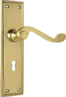 TRADCO MILTON LEVER DOOR HANDLE
