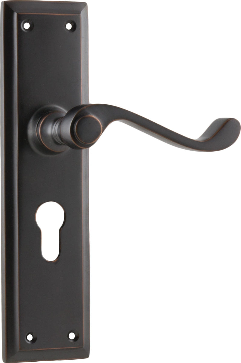 TRADCO MILTON LEVER DOOR HANDLE