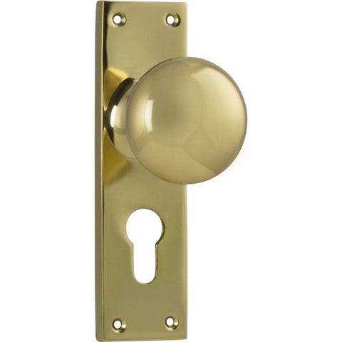 TRADCO VICTORIAN KNOB ON LONG BACKPLATE