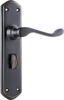 TRADCO WINDSOR LEVER DOOR HANDLE ON SHOULDERED BACKPLATE