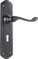 TRADCO WINDSOR LEVER DOOR HANDLE ON SHOULDERED BACKPLATE