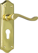TRADCO HENLEY LEVER DOOR HANDLE ON SHOULDERED BACKPLATE
