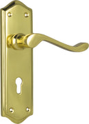 TRADCO HENLEY LEVER DOOR HANDLE ON SHOULDERED BACKPLATE