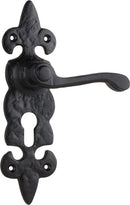TRADCO STRATFORD LEVER DOOR HANDLE ON BACKPLATE MATT BLACK