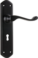 TRADCO WINDSOR LEVER DOOR HANDLE ON SHOULDERED BACKPLATE