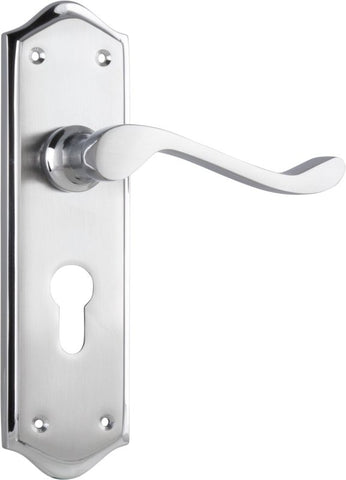 TRADCO HENLEY LEVER DOOR HANDLE ON SHOULDERED BACKPLATE