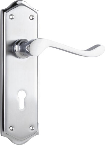TRADCO HENLEY LEVER DOOR HANDLE ON SHOULDERED BACKPLATE