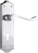 TRADCO HENLEY LEVER DOOR HANDLE ON SHOULDERED BACKPLATE