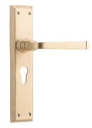 TRADCO MENTON LEVER DOOR HANDLE ON LONG BACKPLATE - CUSTOMISE TO YOUR NEEDS