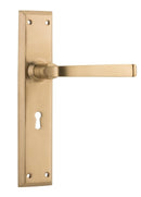 TRADCO MENTON LEVER DOOR HANDLE ON LONG BACKPLATE - CUSTOMISE TO YOUR NEEDS