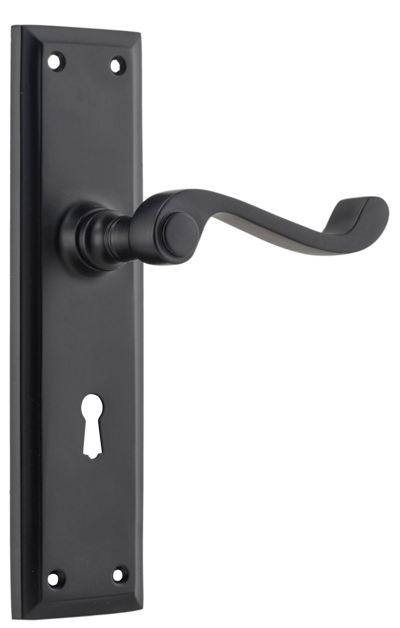 TRADCO MILTON LEVER DOOR HANDLE