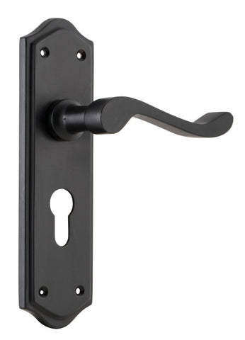 TRADCO HENLEY LEVER DOOR HANDLE ON SHOULDERED BACKPLATE