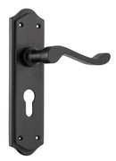 TRADCO HENLEY LEVER DOOR HANDLE ON SHOULDERED BACKPLATE