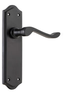 TRADCO HENLEY LEVER DOOR HANDLE ON SHOULDERED BACKPLATE