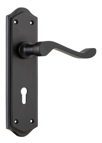 TRADCO HENLEY LEVER DOOR HANDLE ON SHOULDERED BACKPLATE