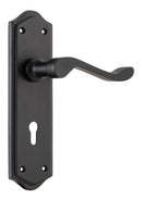 TRADCO HENLEY LEVER DOOR HANDLE ON SHOULDERED BACKPLATE